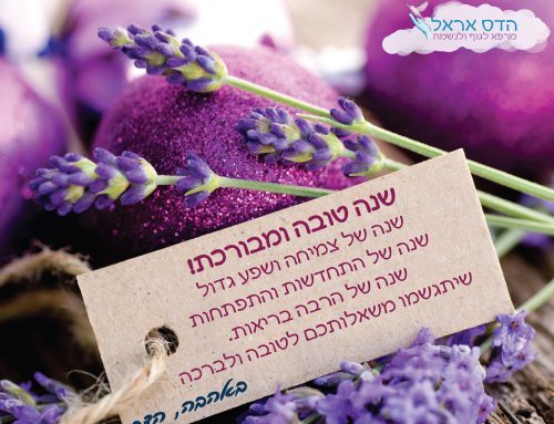 המיתוג של הדס אראל